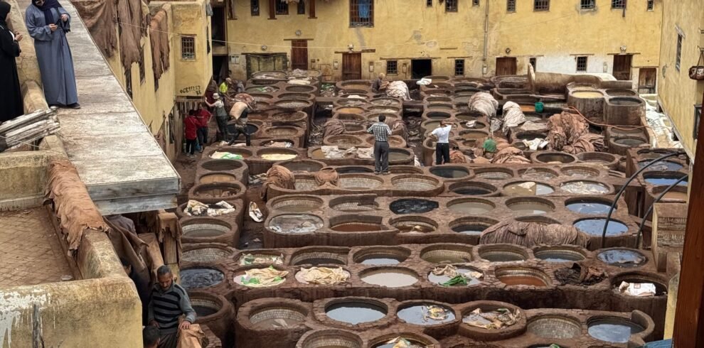 1e1771db-b295-4fa4-835f-5b328c240f1a