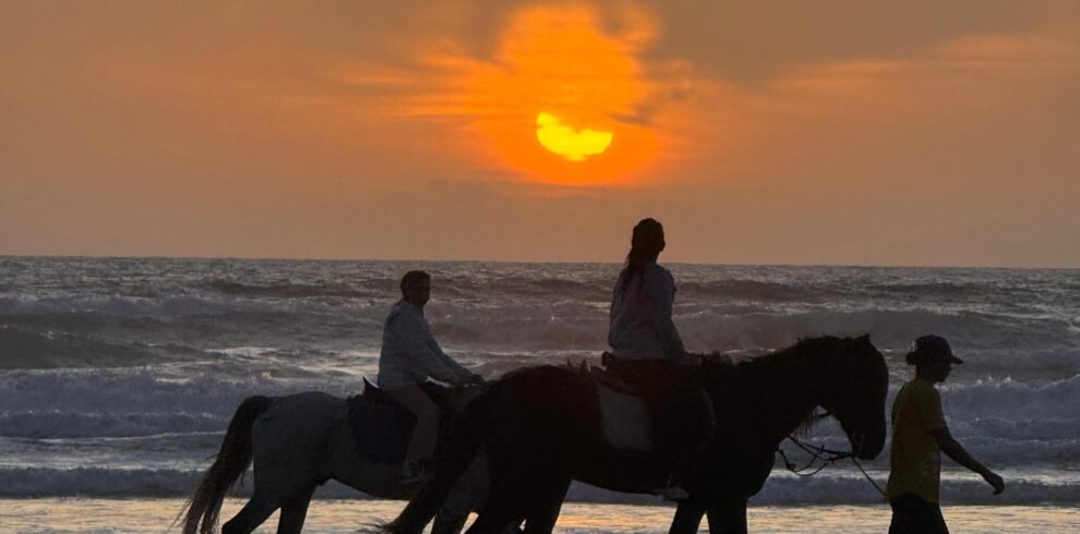 817d6bce-9d84-4b86-aa44-fe67bc29c93b