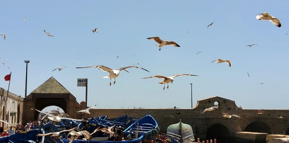 efd4fb8a-7a8f-42a2-9a1f-69fcea3aee14