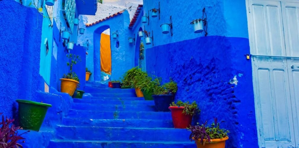 WhatsApp Image 2025-12-26 at 10.47.53