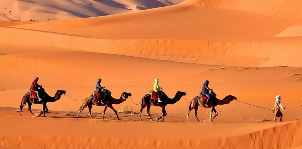 WhatsApp Image 2025-12-26 at 10.47.54