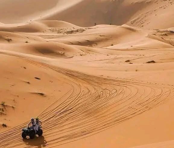 WhatsApp Image 2025-12-26 at 10.47.59 (1)