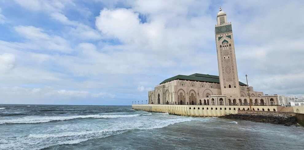 8492c2ae-53b4-4514-8306-d5224d82376a