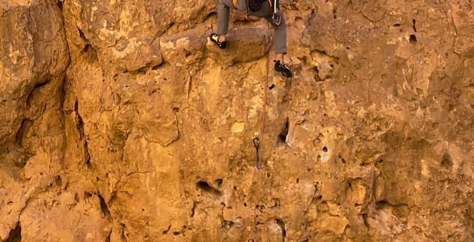 WhatsApp Image 2026-02-13 at 16.32.55