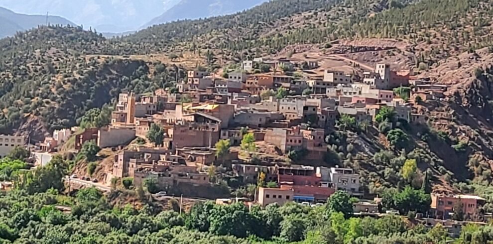 c79c2fe9-356f-41a4-80ce-71a329776229