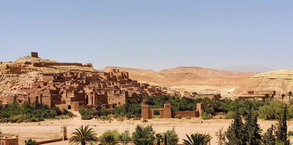 ce9cb6db-32e6-4b95-ac4e-768ceec480a0