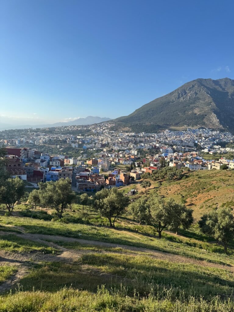 PHOTO-2025-12-09-02-06-59 7