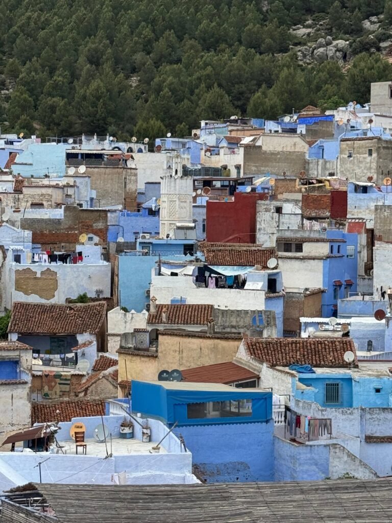 PHOTO-2025-12-09-02-06-59