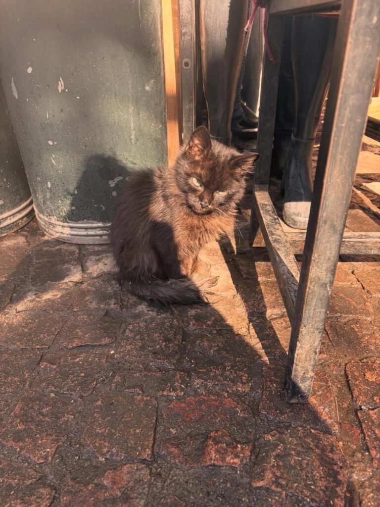 PHOTO-2026-01-04-15-31-00