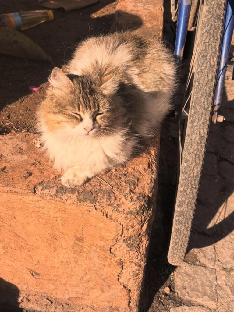 PHOTO-2026-01-04-15-31-12