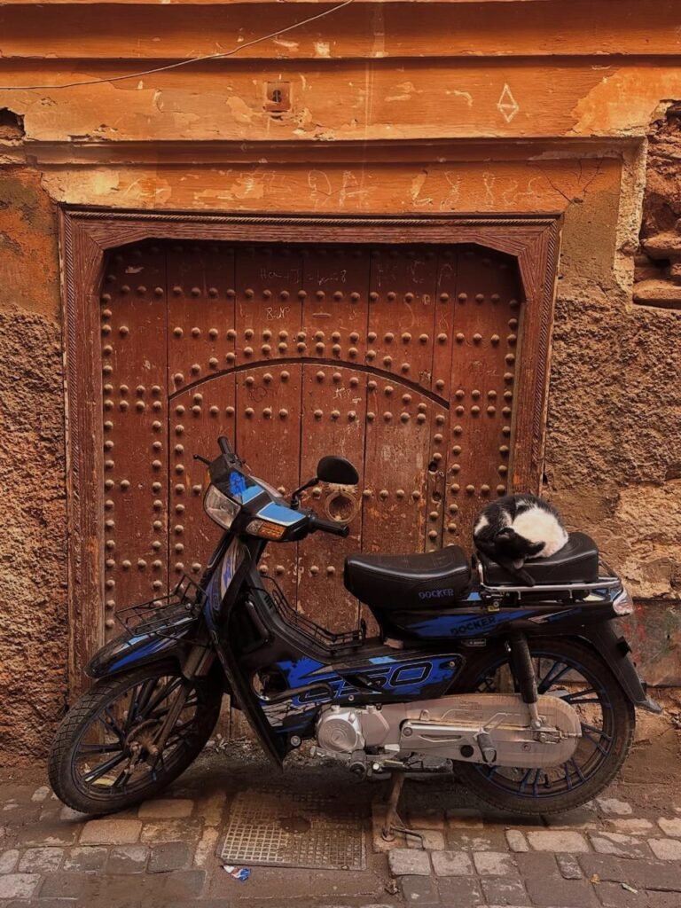 PHOTO-2026-01-05-22-21-39