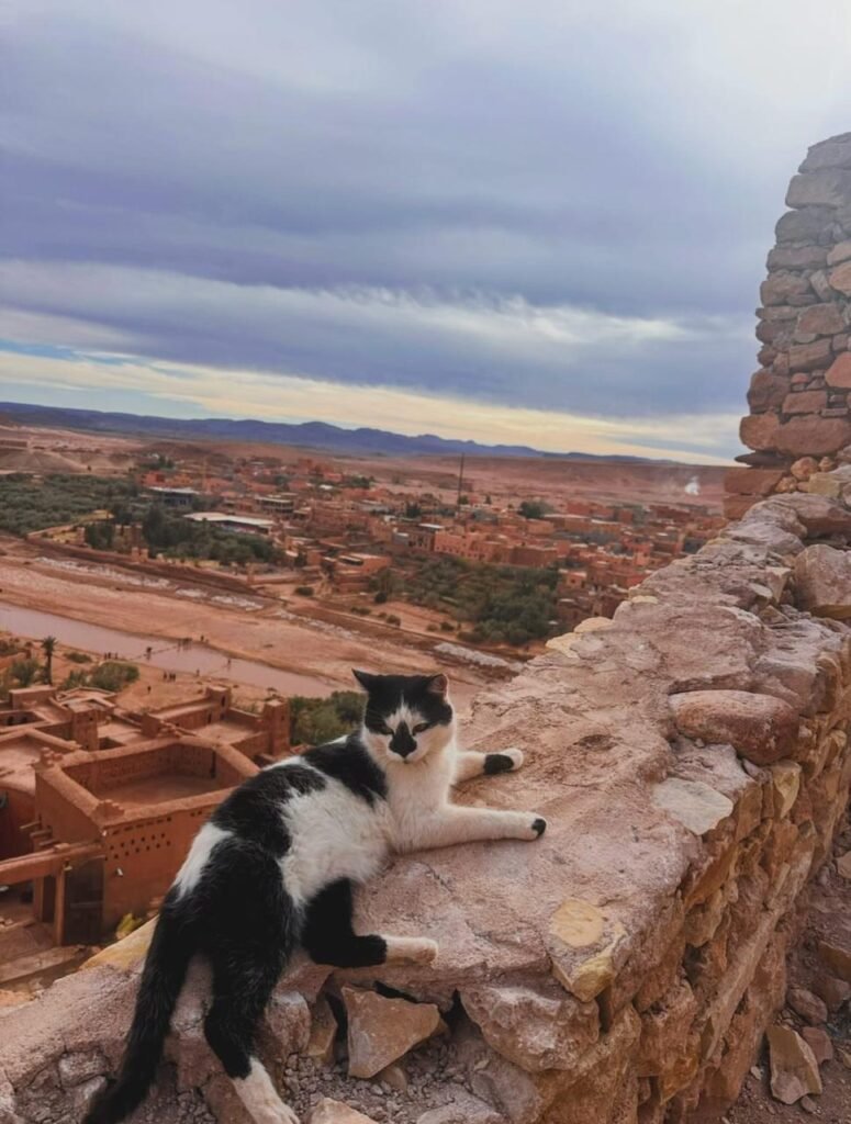 PHOTO-2026-01-06-22-18-47