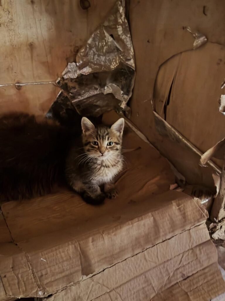 PHOTO-2026-01-09-01-27-35