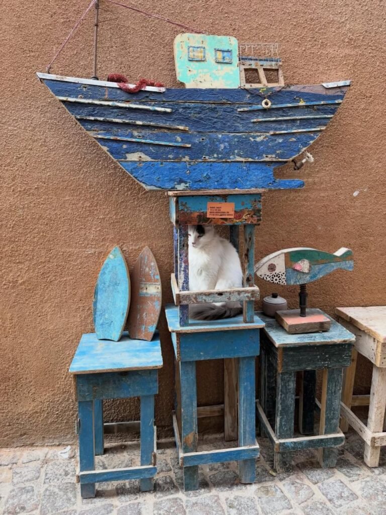 PHOTO-2026-01-09-01-27-45