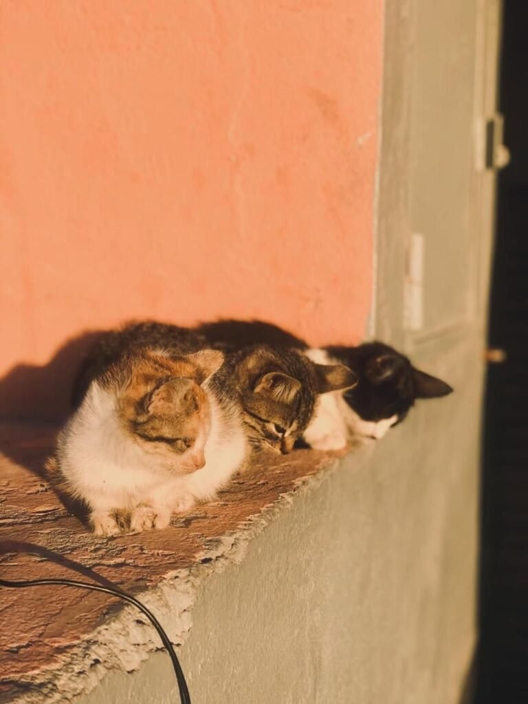 PHOTO-2026-02-13-16-32-34