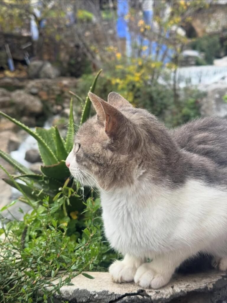 PHOTO-2026-02-13-16-32-35 2