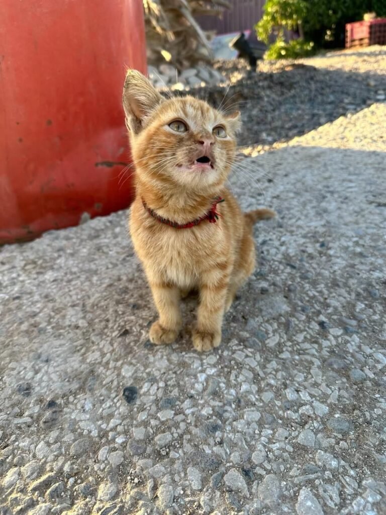 PHOTO-2026-02-13-16-32-37