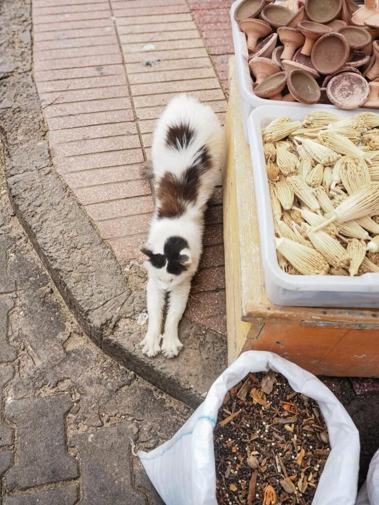 PHOTO-2026-02-13-16-32-40