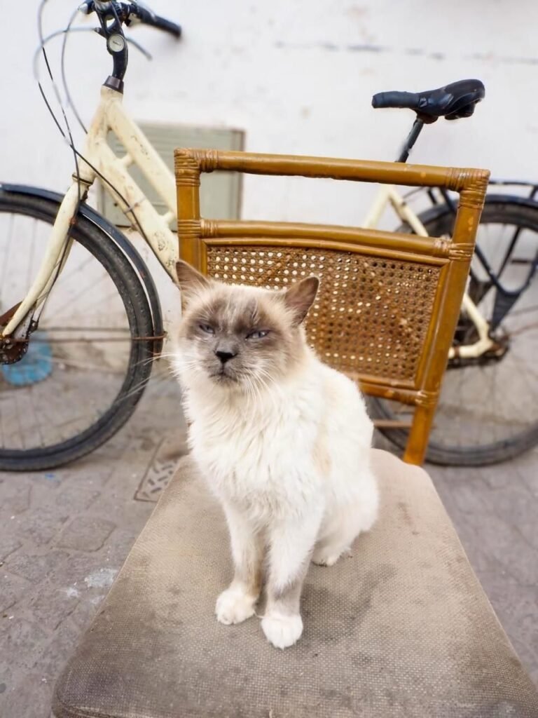 PHOTO-2026-02-13-16-32-40 2