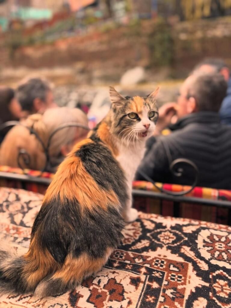 PHOTO-2026-02-13-16-32-41