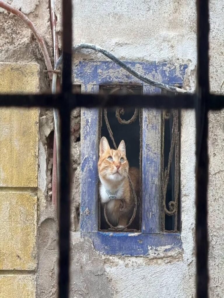 PHOTO-2026-02-13-16-32-44