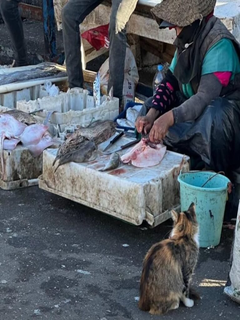 PHOTO-2026-02-13-16-32-44 2