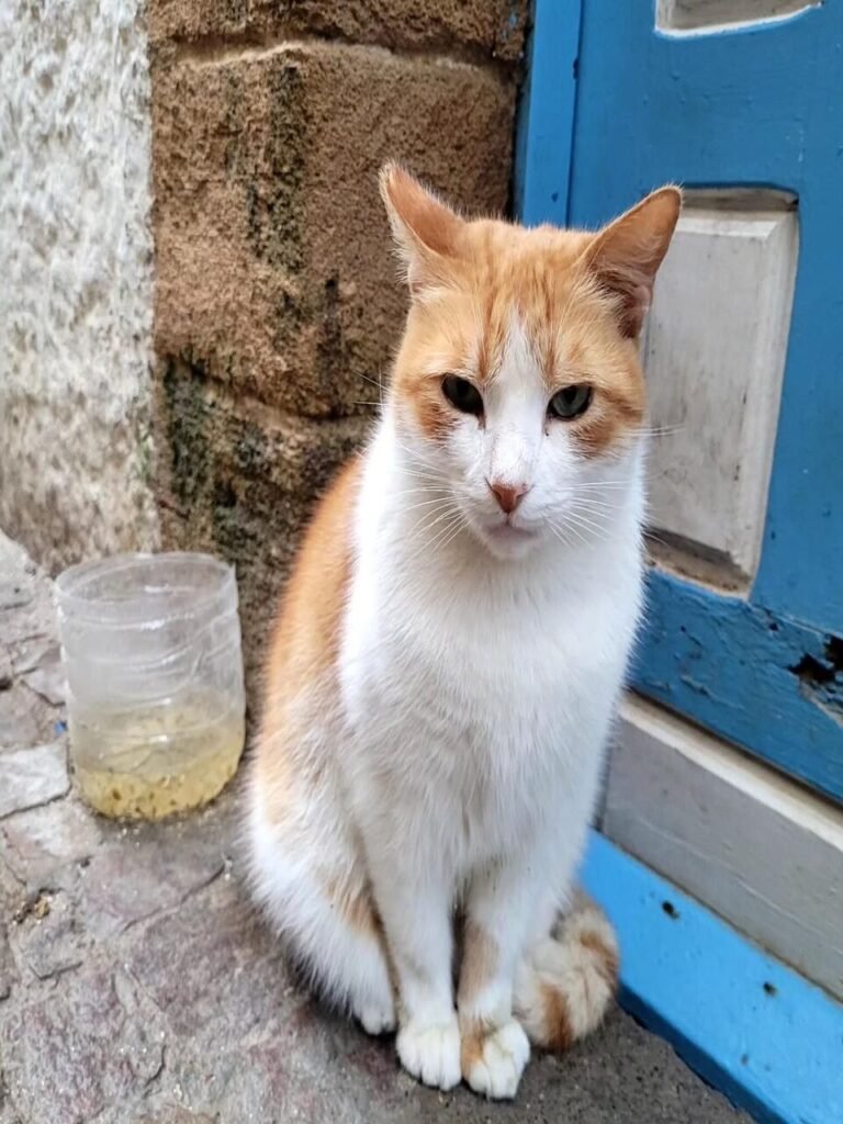 PHOTO-2026-02-13-16-32-45