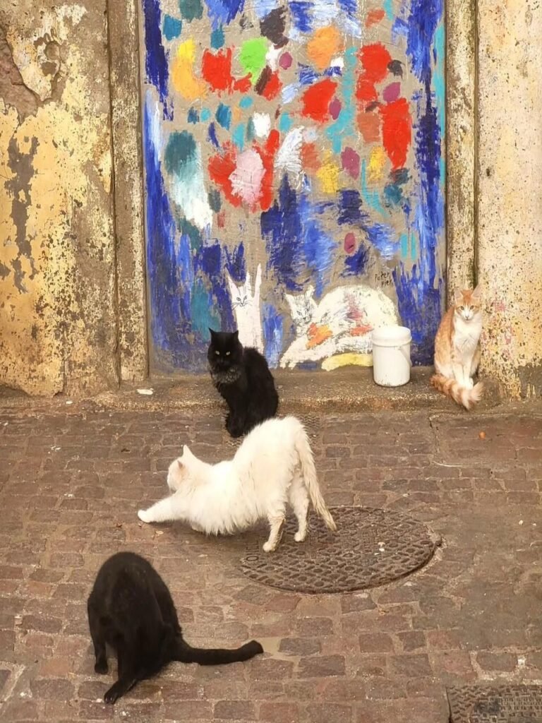 PHOTO-2026-02-13-16-32-45 2