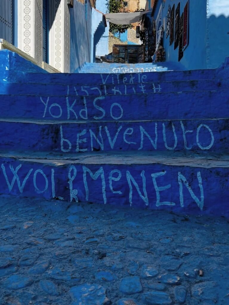 PHOTO-2026-02-13-16-32-48 2