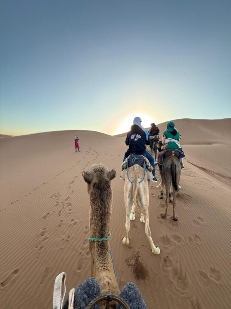 WhatsApp Image 2026-01-08 at 02. copy 3