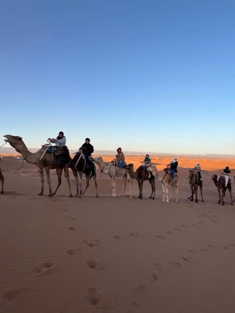 WhatsApp Image 2026-01-08 at 02. copy 4