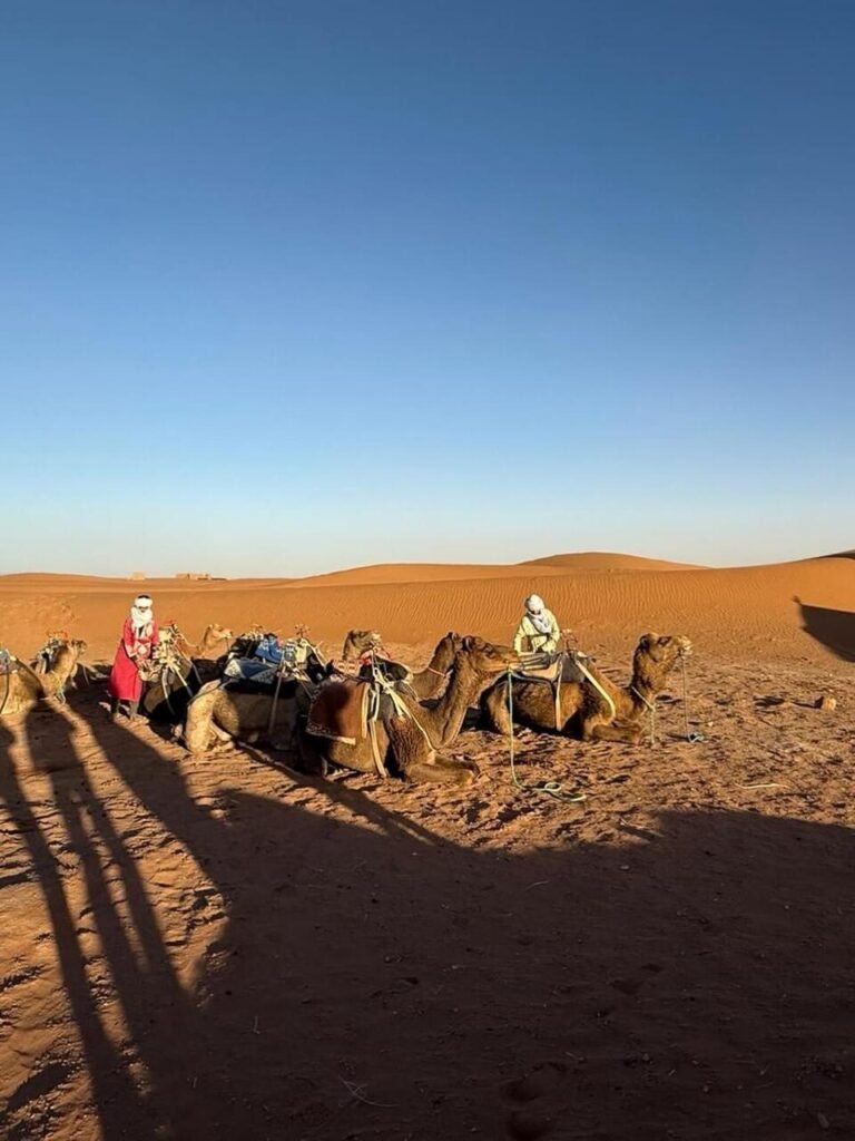 WhatsApp Image 2026-01-08 at 02. copy