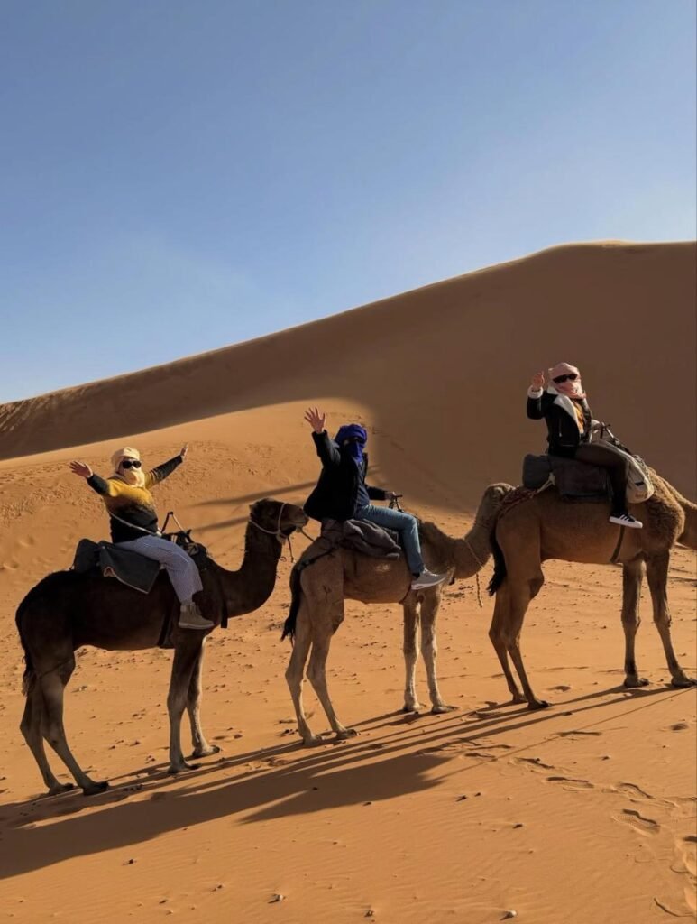 WhatsApp Image 2026-01-08 at 02.02.54