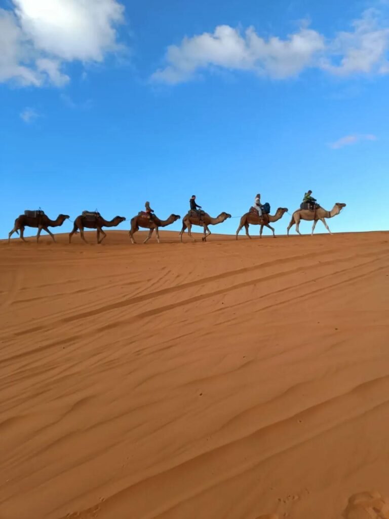 WhatsApp Image 2026-01-09 at 01.14.48