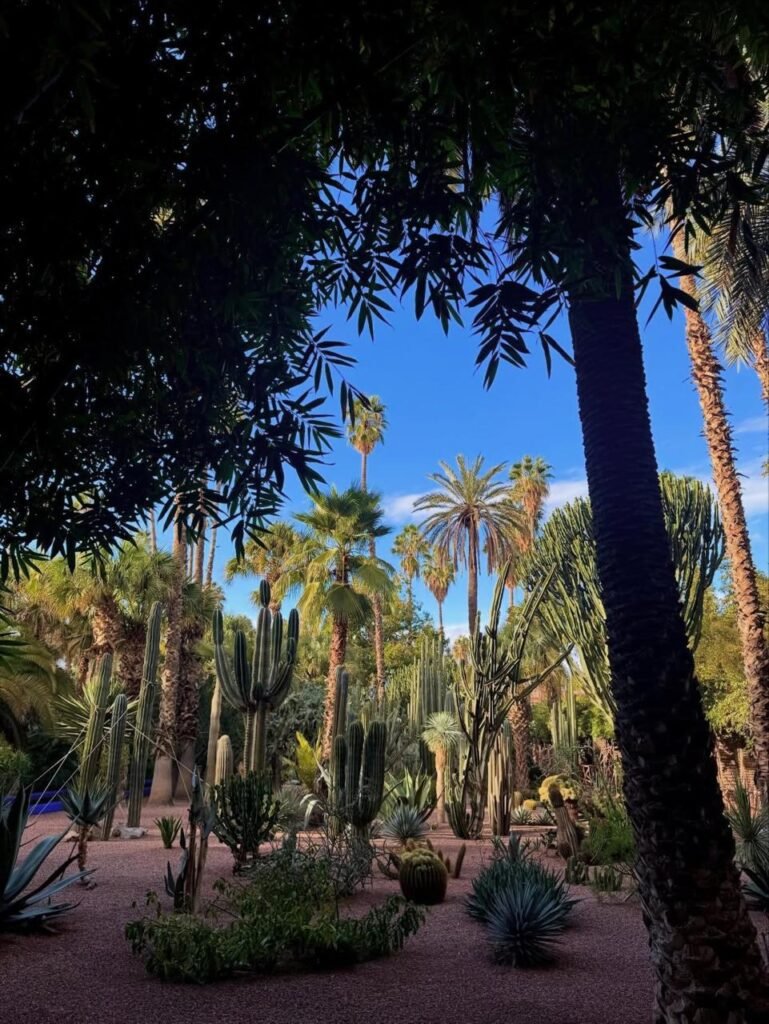 WhatsApp Image 2026-01-10 at 00.26.41