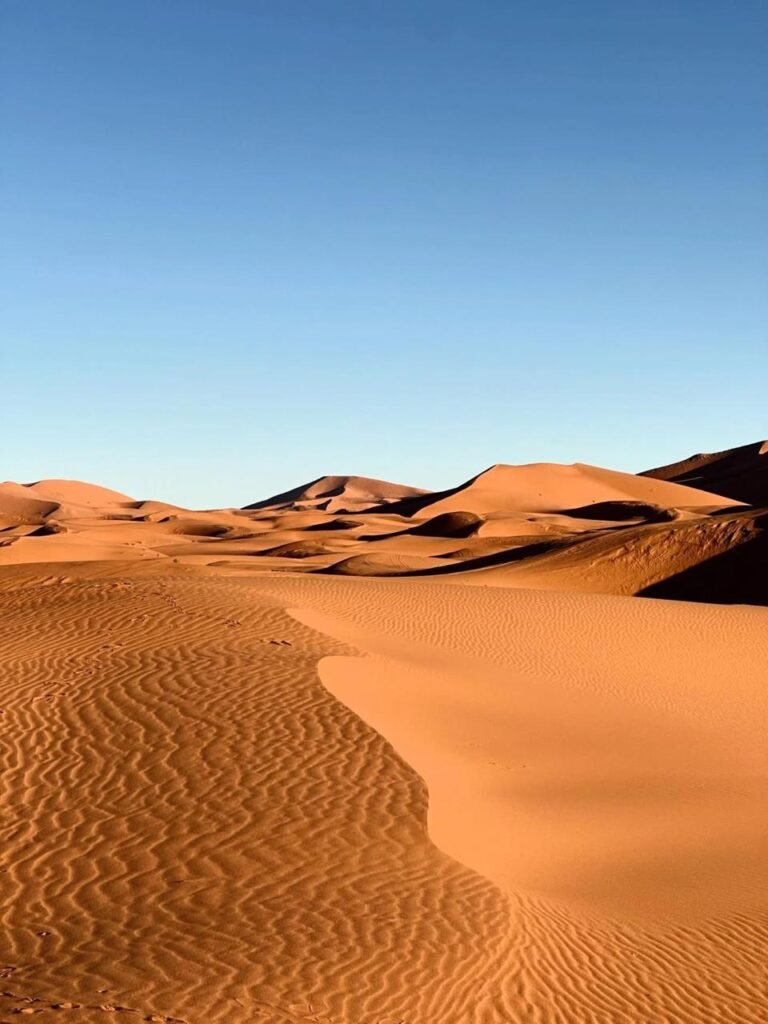 WhatsApp Image 2026-01-11 at 23.37.44