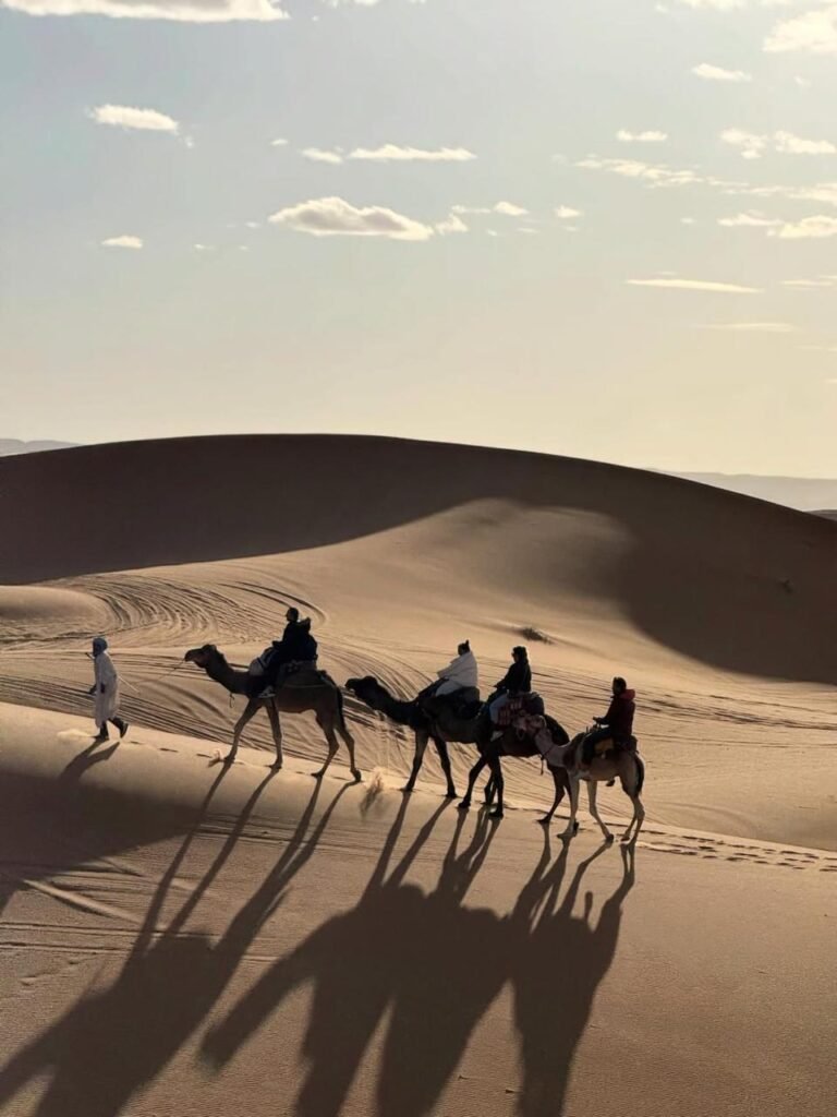 WhatsApp Image 2026-02-06 at 19.57.22