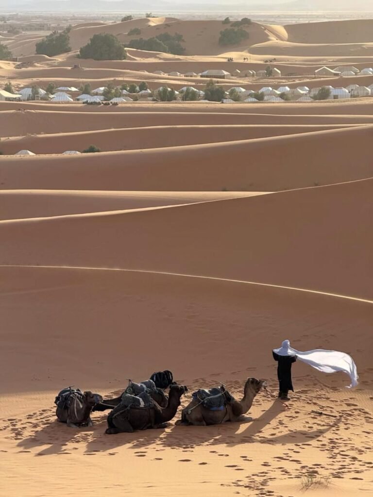 WhatsApp Image 2026-02-06 at 19.57.27