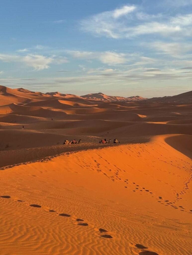 WhatsApp Image 2026-02-13 at 16.32.58