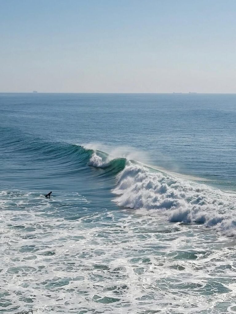 WhatsApp Image 2026-03-08 at 23.-5