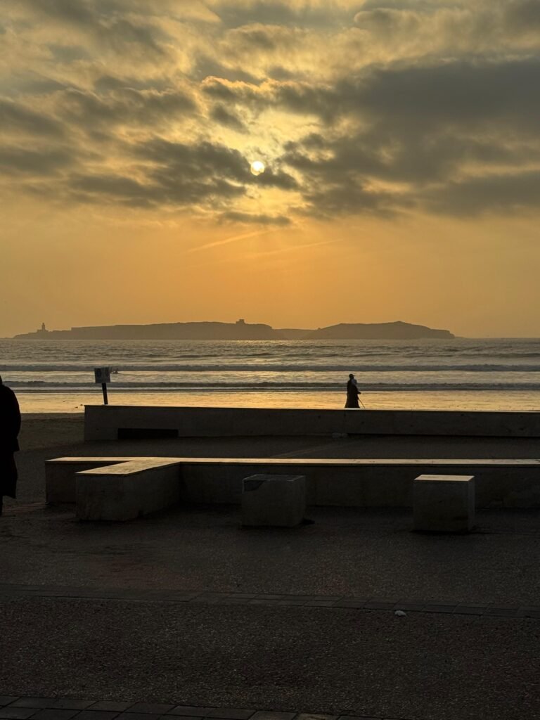 WhatsApp Image 2026-03-08 at 23.25.53 (1)