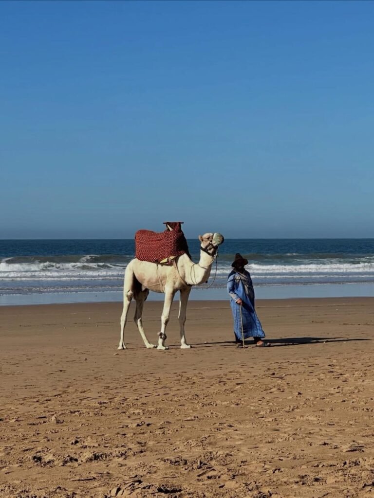 WhatsApp Image 2026-03-08 at 23.25.54 (2)