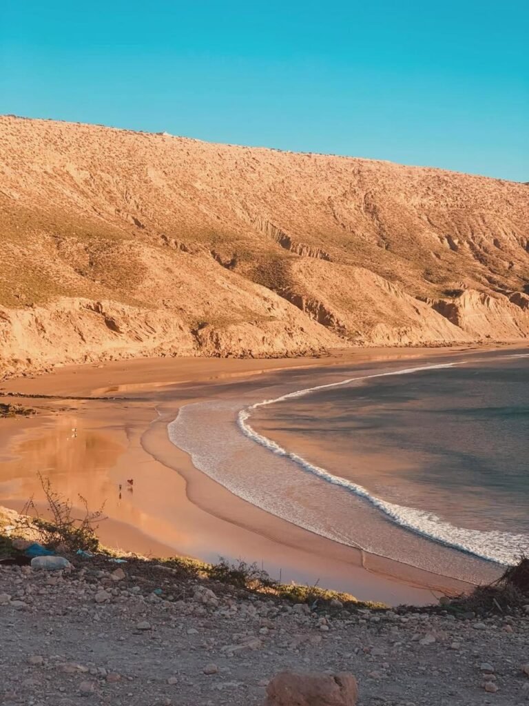 WhatsApp Image 2026-03-08 at 23.25.54 (3)