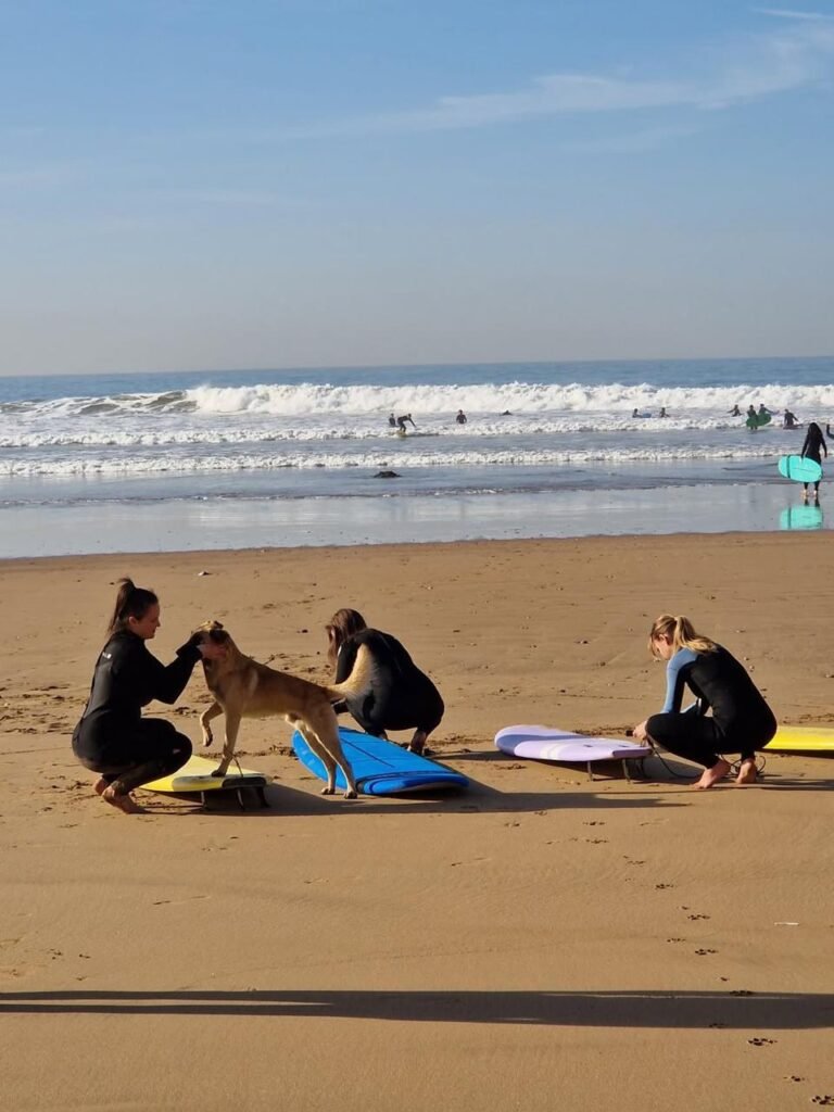 WhatsApp Image 2026-03-08 at 23.25.54