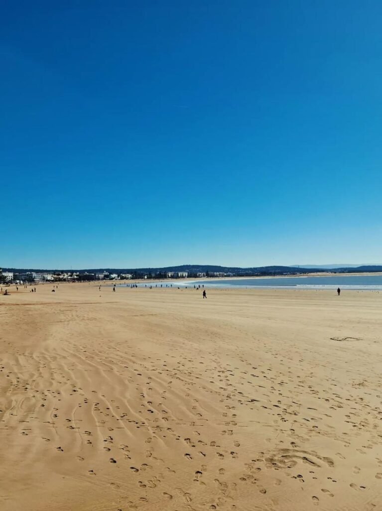 WhatsApp Image 2026-03-08 at 23.25.55