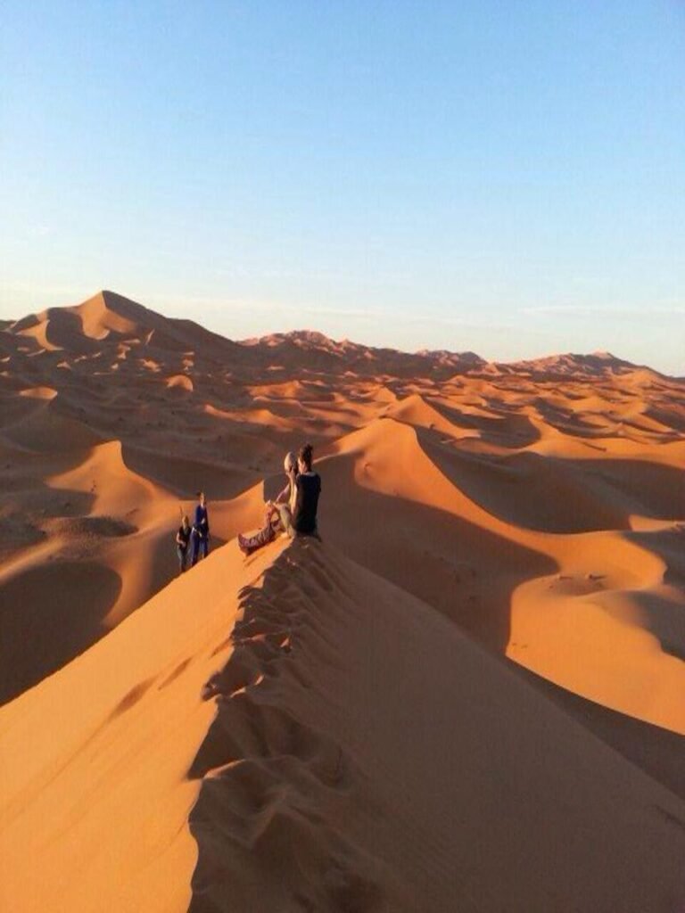 WhatsApp Image 2026-03-09 at 21.