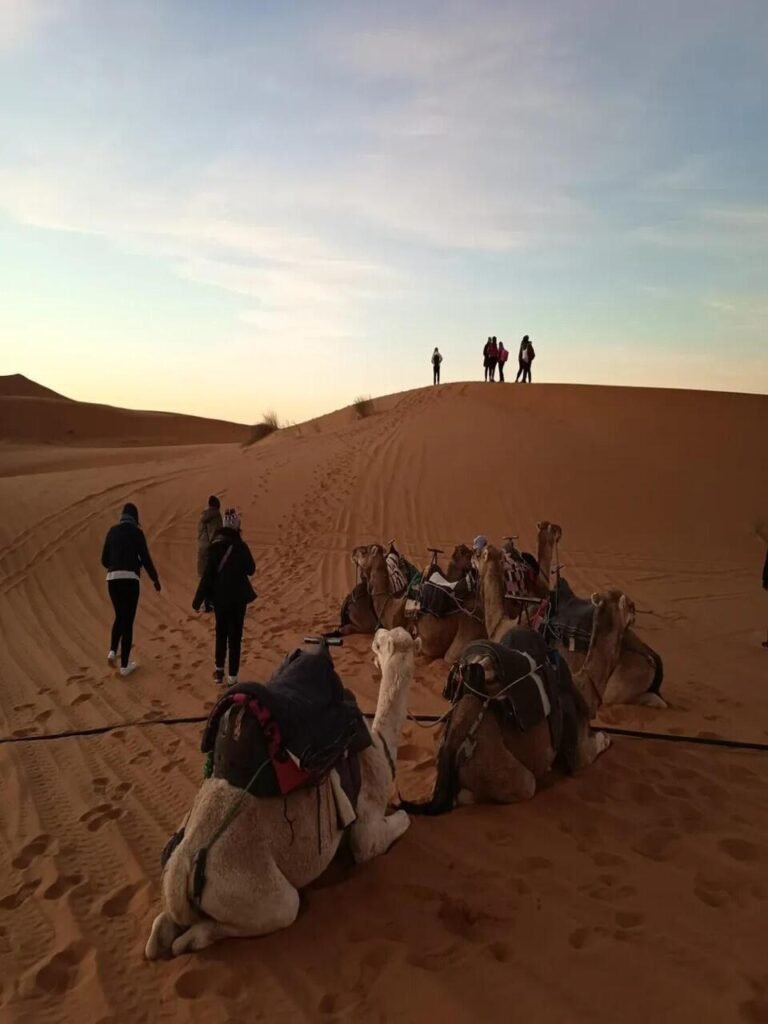 WhatsApp Image 2026-03-09 at 21. copy 6