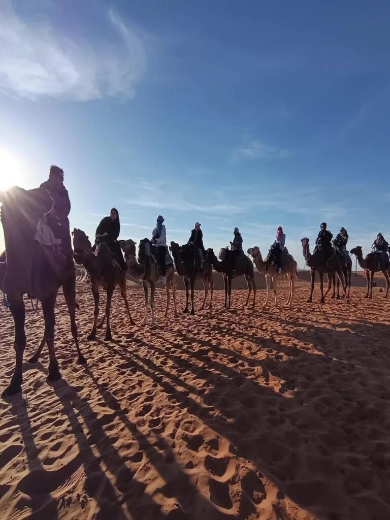 WhatsApp Image 2026-03-09 at 21. copy 7