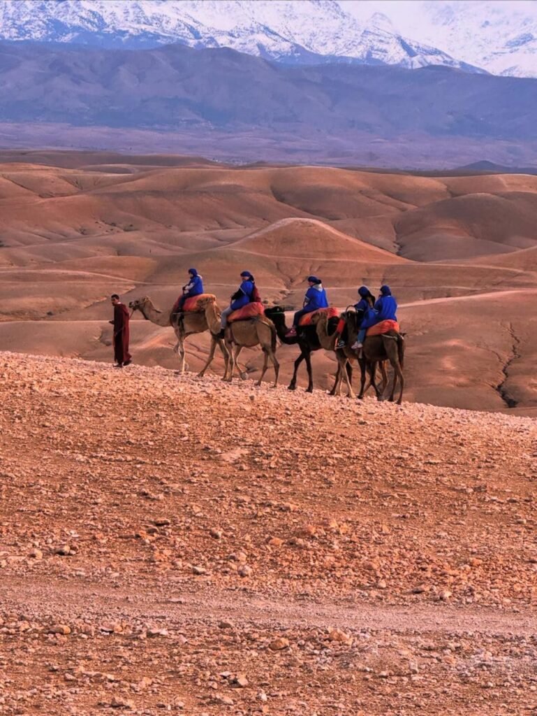 WhatsApp Image 2026-03-09 at 21.53.10