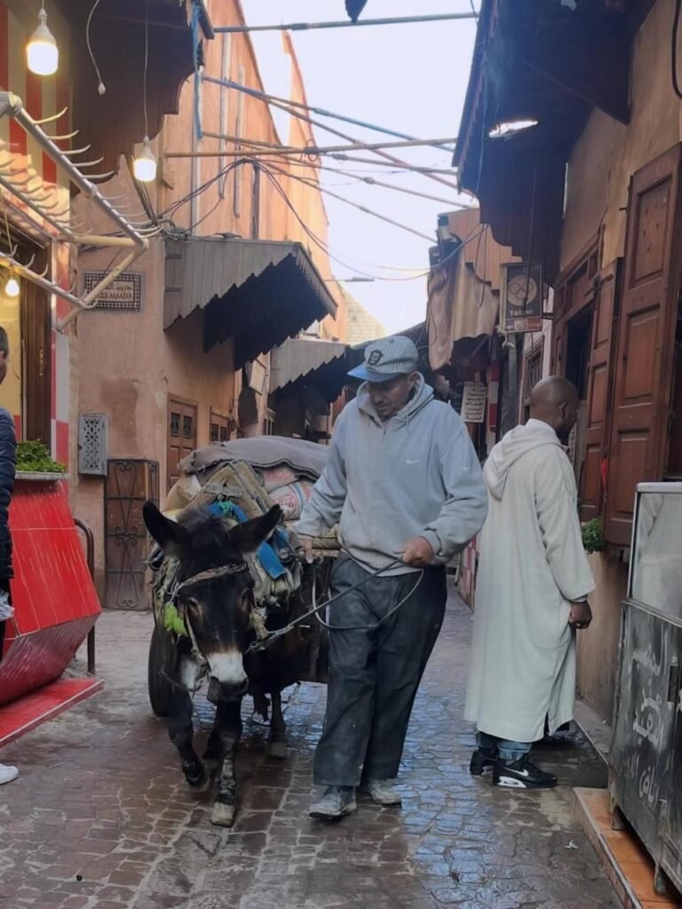 PHOTO-2026-02-13-16-32-36 8